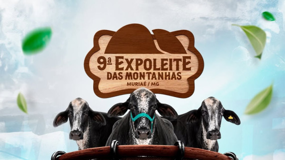 9 Expoleite das Montanhas